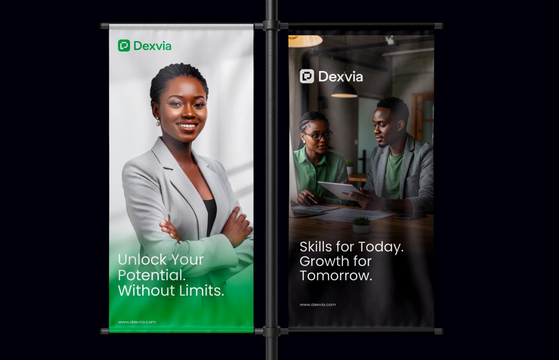 Dexvia visual identity layout